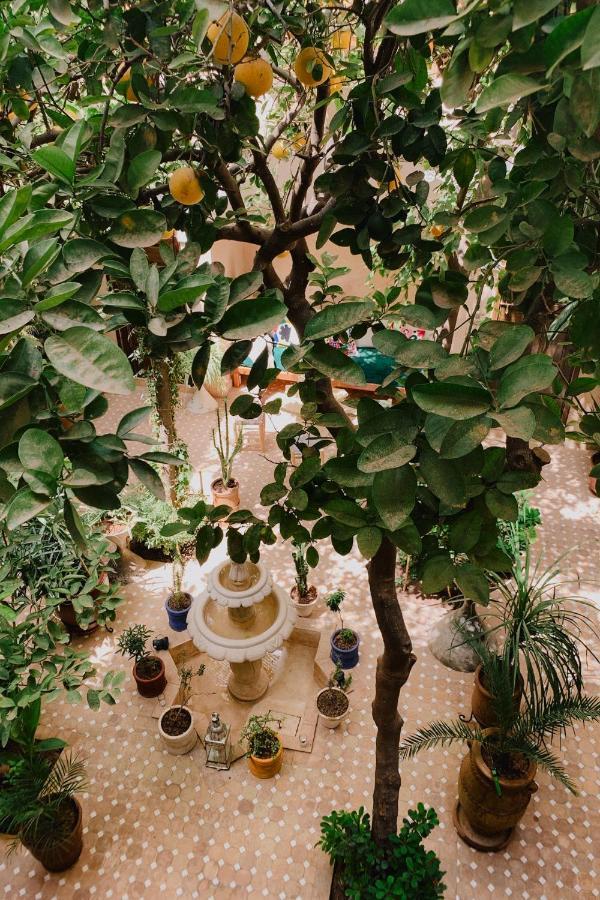 Riad Maison 24 Marrakesz Zewnętrze zdjęcie